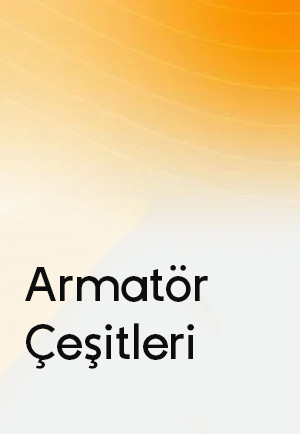 Armatör Çeşitleri
